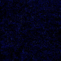 Aqua Turf Marine/Automotive Carpet 96" - Royal Blue