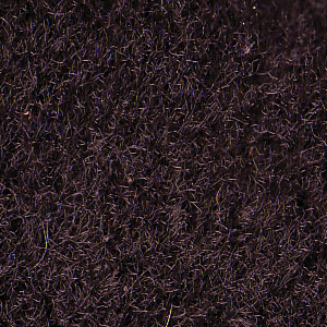 Bentley 72" Carpet Midnight Black