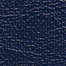 Carpet Binding Blue