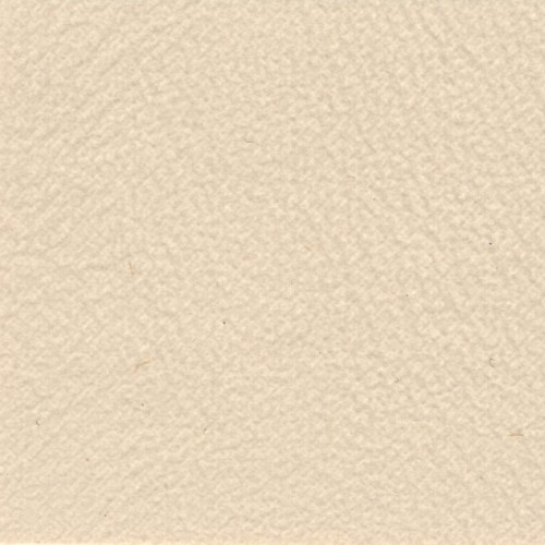 Paramount Premium Vinyl 54" - Canvas - Click Image to Close