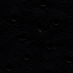 Denali 54" Vinyl Black Ostrich