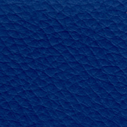 Merit Versatility 2.0 54" Royal Blue