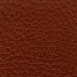 Merit Versatility 2.0 54" Rust