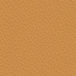 Palma 54" Vinyl Creme