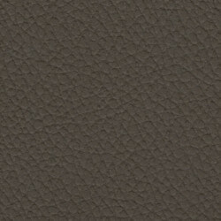 Palma 54" Vinyl Med. Graphite