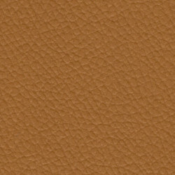 Palma 54" Vinyl Champagne