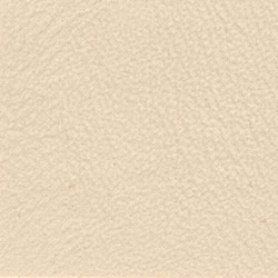 Paramount Premium Vinyl 54" - Canvas
