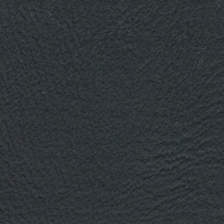 Paramount Premium Vinyl 54" - Slate