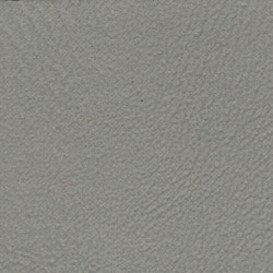 Paramount Premium Vinyl 54" - Traditional Grey