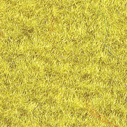 Neon 76" Carpet Yellow