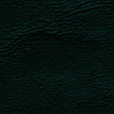 Seascape Marine Grade Welt Cord Green