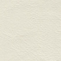 Seascape Marine Grade Welt Cord Chalk