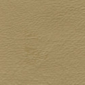 Seascape Marine Grade Welt Cord Autumn